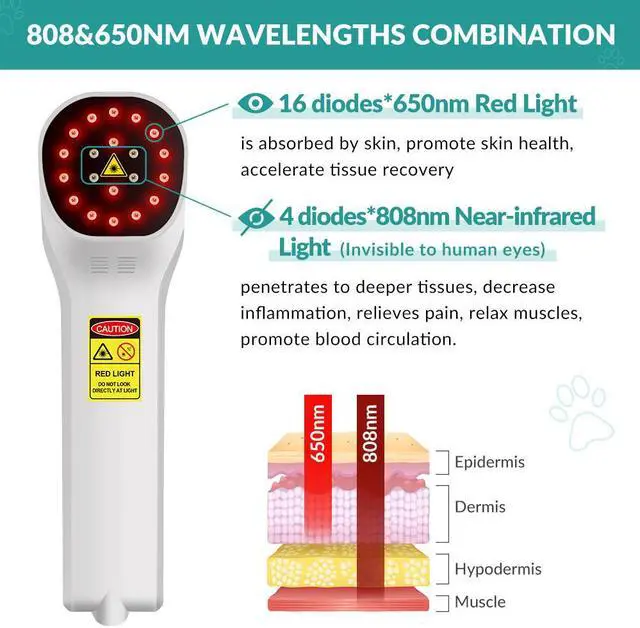 Alt view image 3 of 7 - ZJZK Cold Laser Therapy 4X808nm 16X650nm Chiropractors Using Laser Therapy Near Me Improve Blood Circulation For People Or Pet