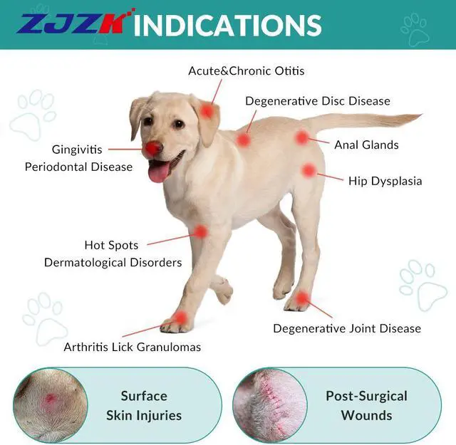 Alt view image 6 of 7 - ZJZK lllt Cold Laser Therapy Laser For Muscle Pain 660nm 810nm 980nm For Acute And Chronic Pain And Arthritis Home Portable