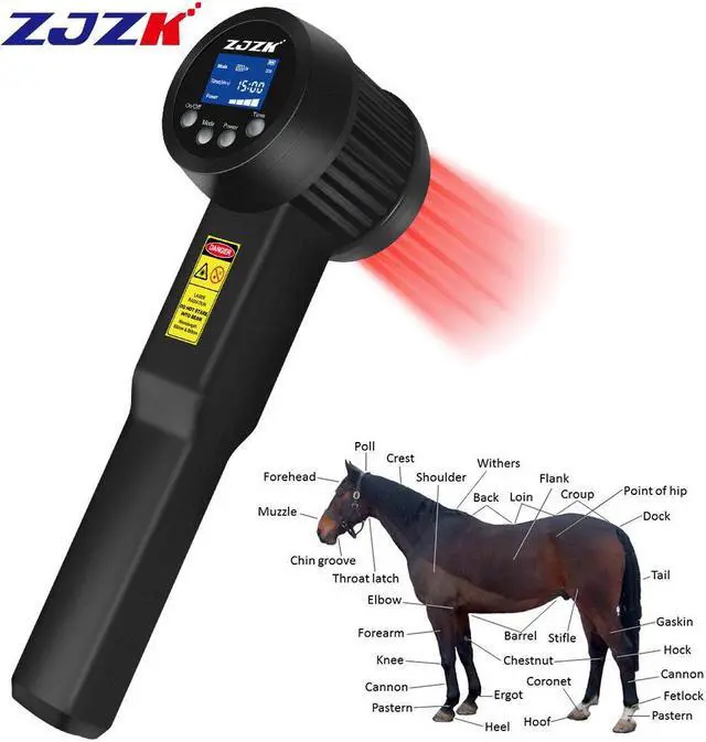 Main image of ZJZK Handheld 5W 10x808nm 15x650nm Cold Laser Therapy Device Muscle Relax Back Neck Pain Relief Treatment Physiotherapy Instrument