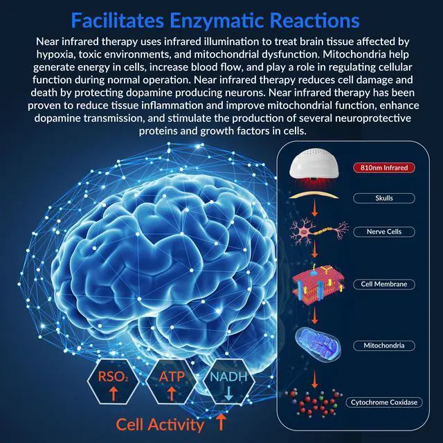 Alt view image 2 of 7 - ZJZK 810nm near-infrared light Helmet brain photobiomodulation improve brain health