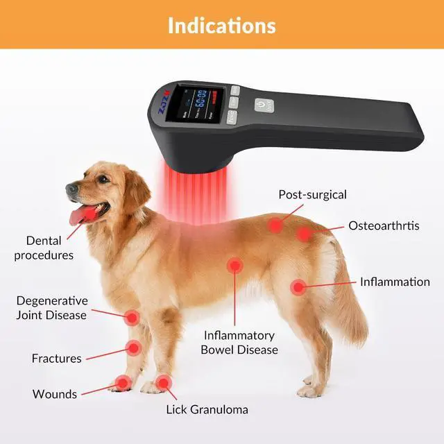 Alt view image 4 of 7 - ZJZK LLLT Cold Laser Therapy Device 4*808nm & 16*650nm Human/Vet Handheld Infrared Red Light Therapy, human,Pet Dogs Treatment Device for Muscle Pain Relief & Improve Healing