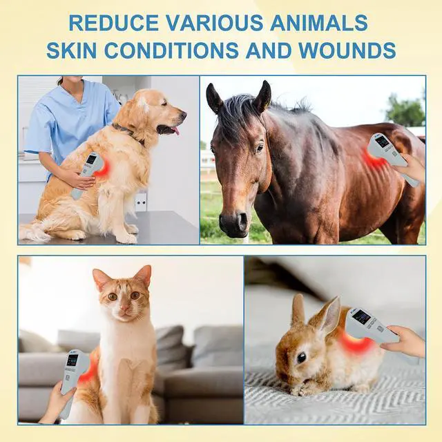 Alt view image 4 of 7 - ZJKC Cold Light Therapy Wand For Ankle Shoulder Knee Elbow Hand 4x808nm +16x650nm Red Light Therapy Device For Human Pet, Near Infrared Light Therapy For Tissue Joint Pain Relief Muscle Recovery Home