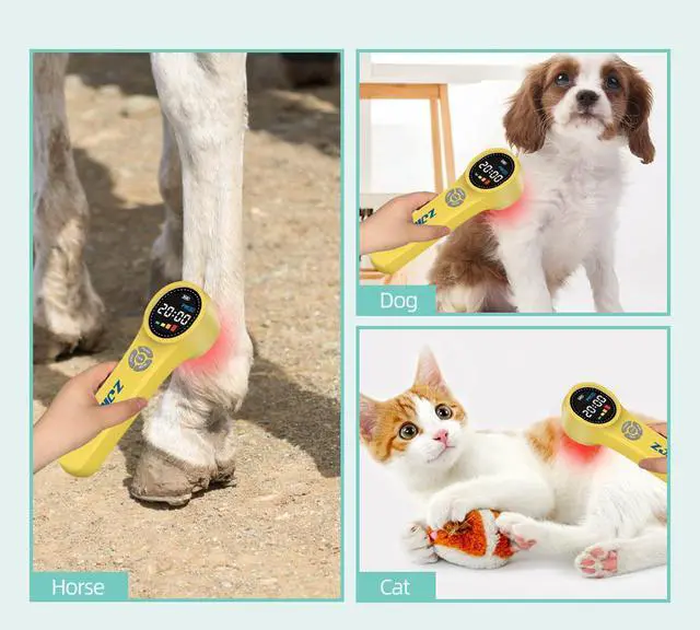Alt view image 4 of 7 - ZJKC Cold Laser Therapy Device for Dogs, 16x660nm+4x810nm+4x980nm, Handheld Red Light Therapy for Joint&Muscles Pain Relief, Pet Laser Therapy for Dogs Cats Horse, Helps Inflammation, Wound Healing