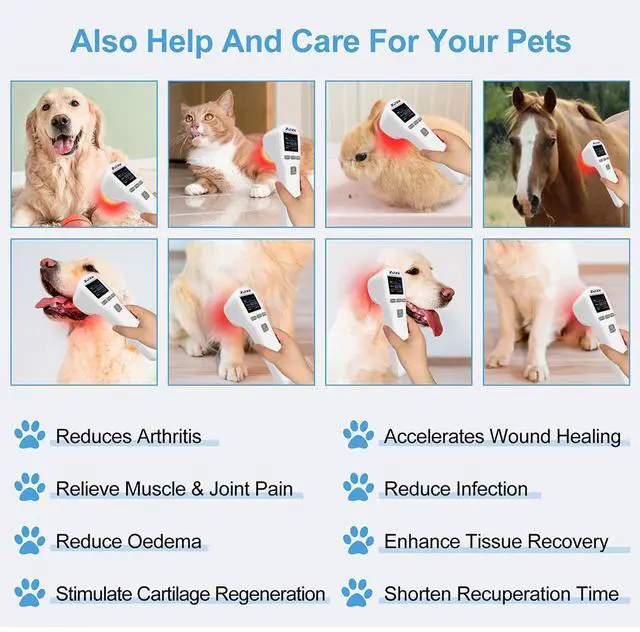 Alt view image 5 of 7 - ZJZK Cold Laser Therapy Device for Muscle & Joint, 4x808nm+16x650nm, Pain Relief, Accelerate Healing, Home Light Therapy for Human and Animals