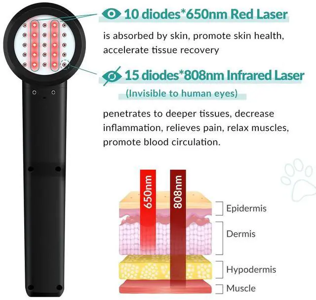 Alt view image 2 of 7 - ZJZK Class 4 Laser Cold Laser Therapy System Unit for Muscle and Joints Stimulation-Cold Laser Therapy 8W/8000mW