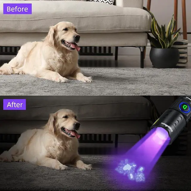 Alt view image 4 of 6 - UV Flashlight 395nm Black Light Mini USB Rechargeable Ultraviolet LED Blacklight Woods Lamp Powerful Fluorescent Portable Detector for Pet Urine Stains Scorpions Resin Curing