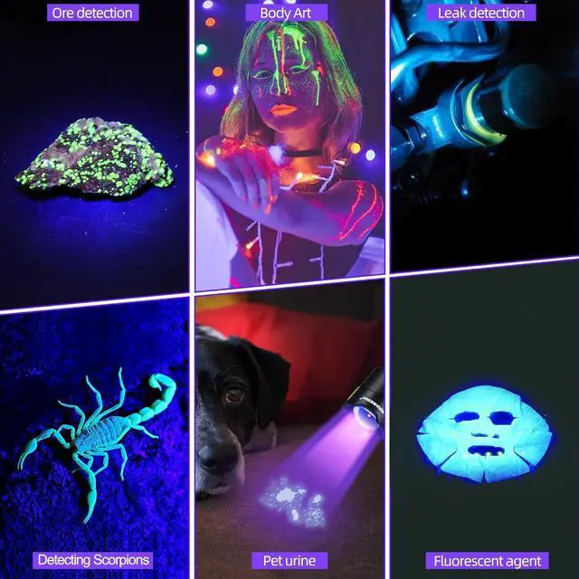 Alt view image 6 of 6 - UV Flashlight 395nm Black Light Mini USB Rechargeable Ultraviolet LED Blacklight Woods Lamp Powerful Fluorescent Portable Detector for Pet Urine Stains Scorpions Resin Curing