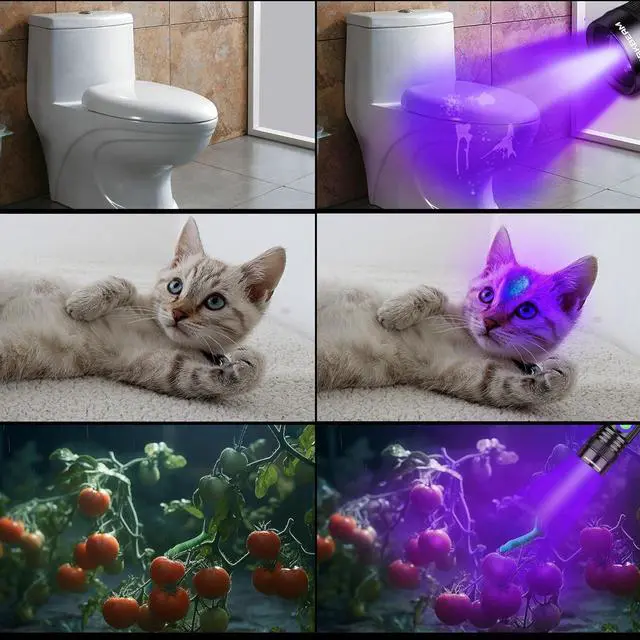 Alt view image 3 of 7 - DARKBEAM UV Black Light Flashlight 395nm - Rechargeable USB Woods Lamp, Powerful Mini Ultraviolet LED Blacklight Flashlights - Resin Curing, Detector for Pet/Cat/Dog Urine, Stains, Scorpions