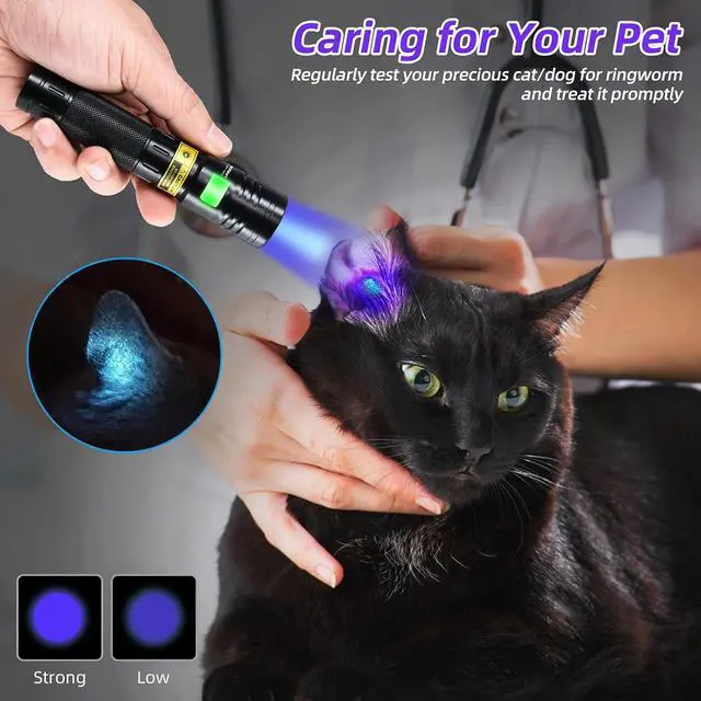 Alt view image 4 of 7 - DARKBEAM Flashlight UV 365nm Black Light High Power 3 LEDs USB -C Rechargeable, 20W Mini Woods Lamp Ultraviolet with Filter - Detector for Pet Urine, Uranium Glass - Leak Detection - Resin Curing