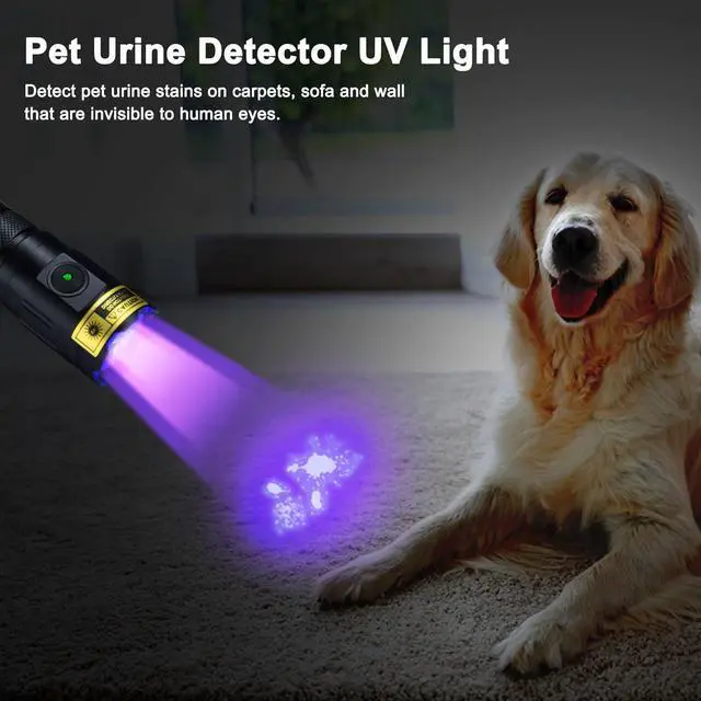 Alt view image 2 of 7 - DARKBEAM UV Flashlight 395nm Black Light, 3 LEDs 20W Powerful Ultraviolet Flashlights Rechargeable, Mini Woods Lamps Long Life for Resin Curing, Pet Urine Detection, UV Nail Glue, AC Leak