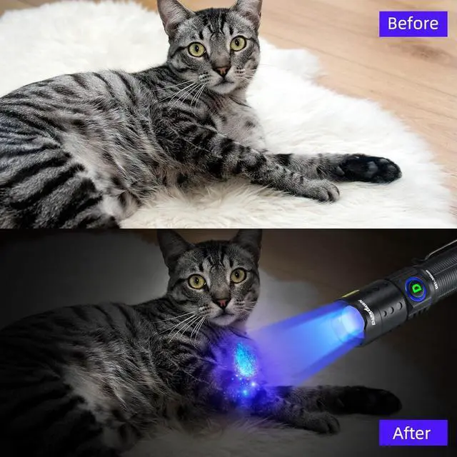 Alt view image 4 of 6 - DARKDAWN UV Flashlight 365nm Light Mini USB Rechargeable Ultraviolet LED Blacklight Woods Lamp Powerful Fluorescent Portable Detector for Pet Urine Stains, Uranium Glass, Money, Resin Curing