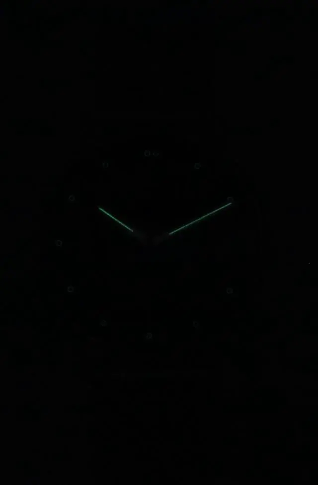 Alt view image 2 of 4 - Skagen Signatur Stainless Steel Blue Dial Quartz SKW6904 Men's Watch