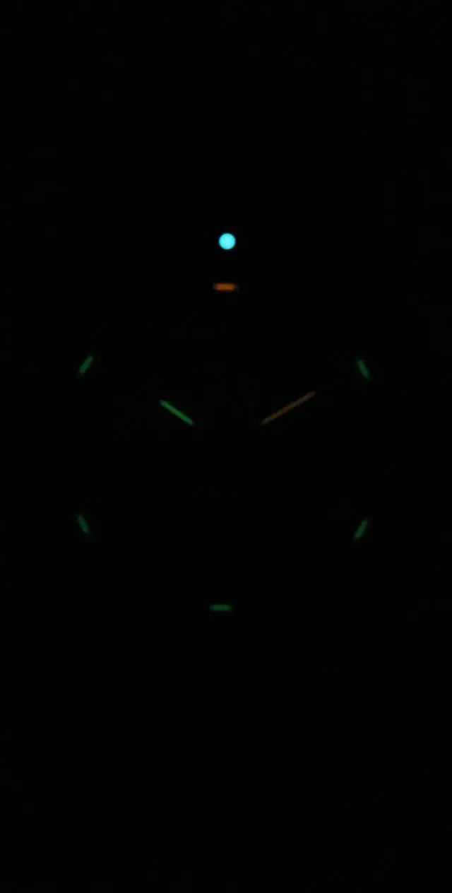 Alt view image 7 of 9 - Luminox Leatherback Sea Turtle Giant XS.0321.BO.L Black 44mm Quartz Men's Watch