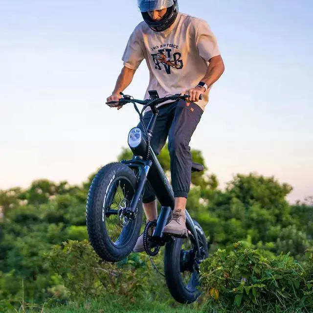 Alt view image 5 of 7 - RANDRIDE 750W Fat Tire Ebike, Electric Commuter Bike, 48V 13AH Removable Lithium Battery Electric Bikes with 20" * 4" Fat Tire, Shimano 7-speed, Range 46 Miles, Max Speed 25 MPH