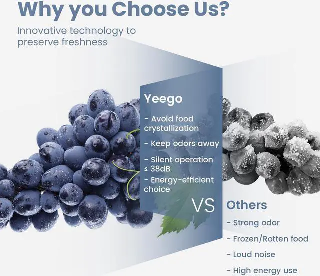 Alt view image 7 of 7 - Yeego 70L Mini Wine Frige - Efficient Thermoelectric Stylish Beer Refrigerator Beverage Cooler Perfect for Home Entertaining