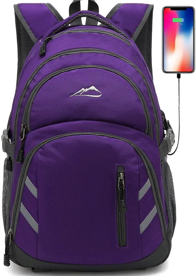 Main image of Backpack Bookbag for College Laptop Travel, Fit Laptop Up to 15.6 inch with USB Charging Port Multi Compartment Anti theft, Gift for Women Men (Purple)
