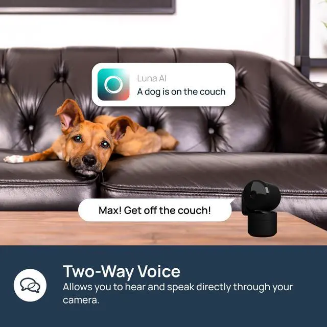 Alt view image 7 of 7 - LUNA HOME Indoor Pan/Tilt Security Camera, 2.4GHz Wi-Fi Camera for Home Security with Smart Gen AI Motion Detection, Baby/Pet Camera with Phone App, 360° Plug-in, Night Vision, 2-Way Audio White