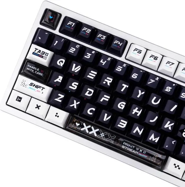 Main image of REDQIN PBT+ PC Keycaps- Printsteam Black and White Shine Through Keycaps Transparent PC Cherry Profile Dye-Sub Keycap Set for Mechanical Keyboard Key Cap (WOB 150 Keys, Top Printed, Without PC Part)