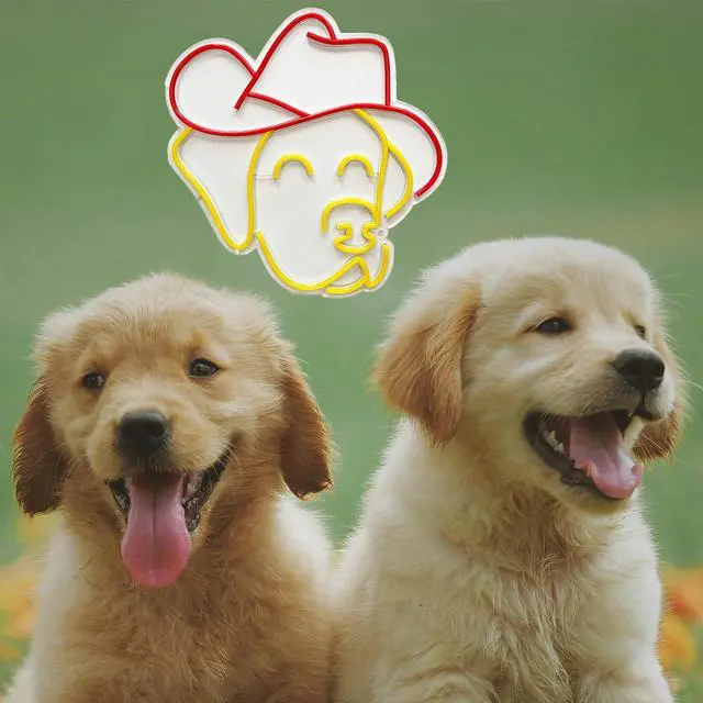 Alt view image 7 of 7 - VVKOWSG Cowgirl Hat LED Neon Sign Super Bright Acrylic Dimmable Cowboy Neon Light for Shop Window Store Display Beer Bar Nightclub Grand Opening Gift (Cowboy Hat Dog)