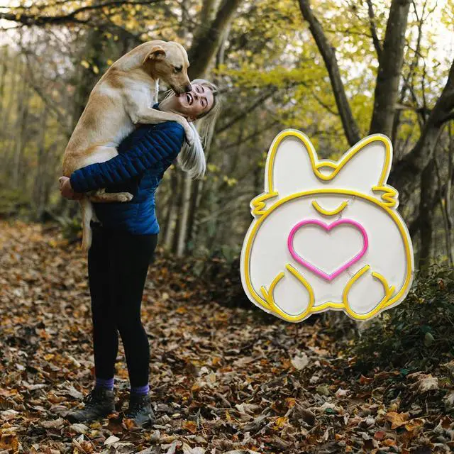 Alt view image 5 of 7 - Corgi LED Neon Sign Super Bright Acrylic Dimmable Dog Led Light Size 15x13.4 in Animal Neon Light for Dog Lovers Window Store Display Beer Bar Nightclub Grand Opening Gift