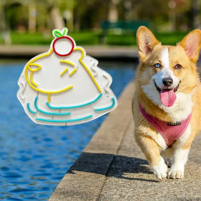 Alt view image 6 of 7 - Capybara Neon Sign Super Bright Acrylic Dimmable Cute Animal Led Light Size 13.7x13.7 in Capybara Neon Light for Window Store Display Beer Bar Nightclub Grand Opening Gift