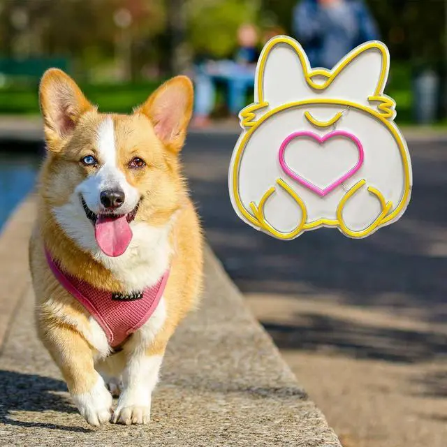 Alt view image 7 of 7 - Corgi LED Neon Sign Super Bright Acrylic Dimmable Dog Led Light Size 15x13.4 in Animal Neon Light for Dog Lovers Window Store Display Beer Bar Nightclub Grand Opening Gift