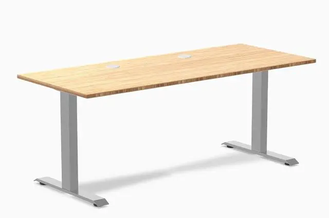 Main image of Desky Zero Bamboo Office Desk - Dark Bamboo / 48 x 30 in with Grommets / Grey