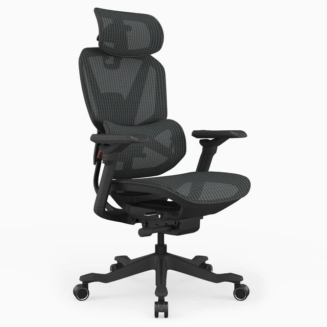 Main image of Desky Contourra Ergonomic Mesh Chair - Black / Without Footrest
