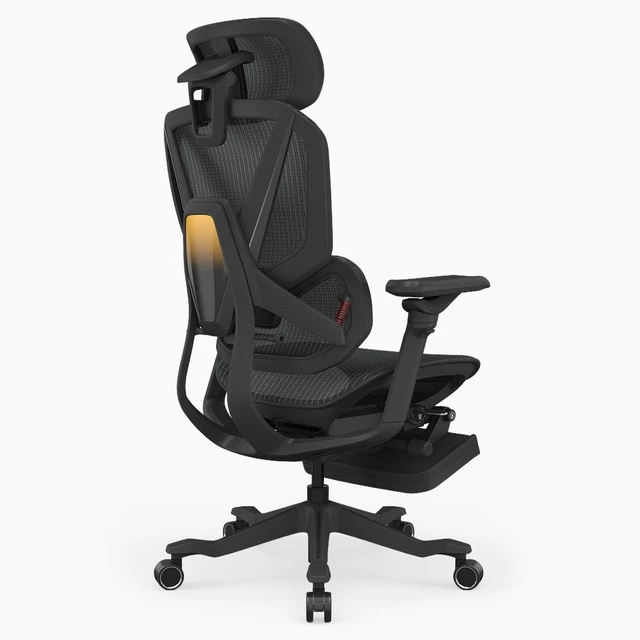 Alt view image 5 of 5 - Desky Contourra Ergonomic Mesh Chair - Black / Without Footrest