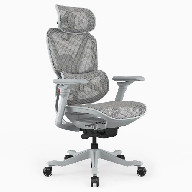 Main image of Desky Contourra Ergonomic Mesh Chair - Light Gray / Without Footrest