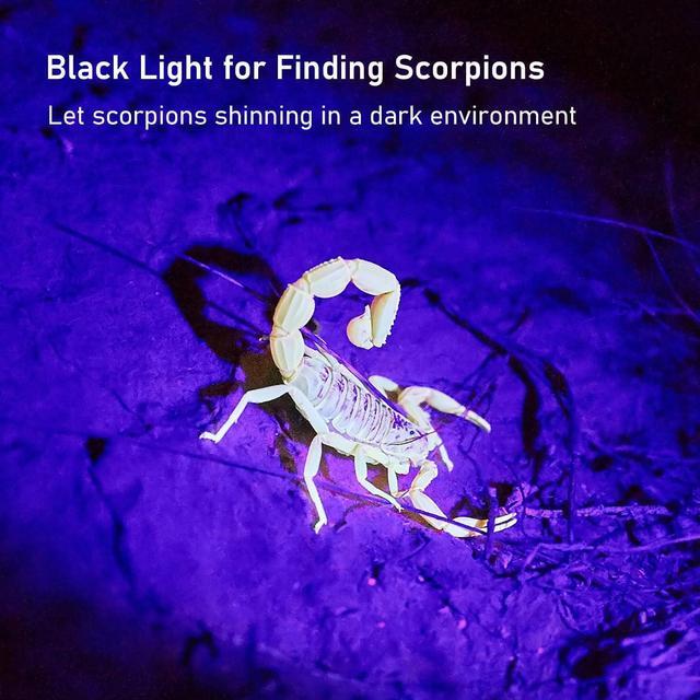 Alt view image 4 of 6 - Blacklight Flashlight,128 LED UV Flashlights, Upgraded Bright Ultraviolet Flashlight Professional Black Light for Dog/Cat, Hunting Scorpions