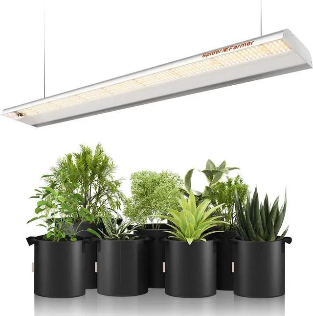 Main image of Spider Farmer 2025 New SF600 LED Grow Lights 2x4 ft Coverage Sunlike Full Spectrum Plant Growing Lamp for Indoor Plants Seeding Veg Flower Energy Saving & High Efficiency Grow Light 384 Diodes