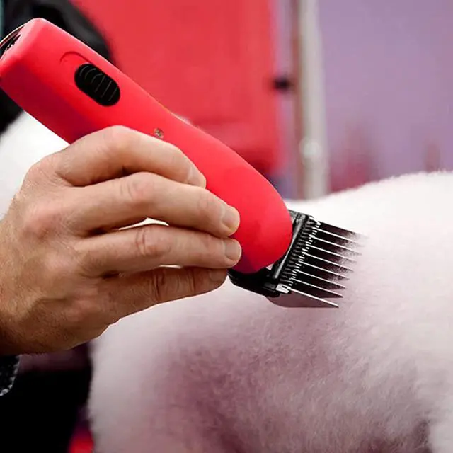 Alt view image 5 of 6 - COSYONALL Animal Stainless Steel 5 Color Dog Guide Comb Set,Cutting Length 1/8"-5/8" for 10#/15#/30# A5 Detachable Blade,Compatible with Andis, Oster A5, Wahl KM Series Clipper Guards