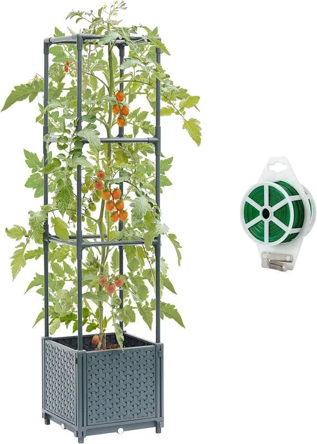 Main image of Raised Garden Bed with Tomato Planter Cage, Trellis Planter Boxes for Outdoor Patio Greenhouse Gardening Climbing Vegetables