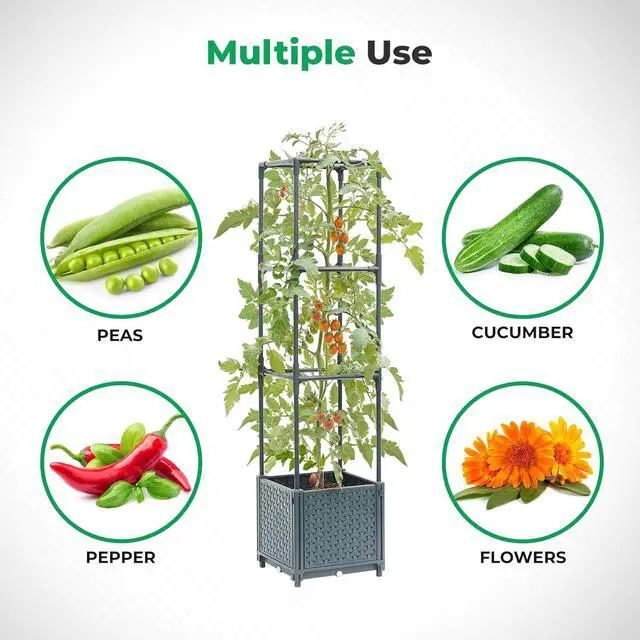 Alt view image 6 of 6 - Raised Garden Bed with Tomato Planter Cage, Trellis Planter Boxes for Outdoor Patio Greenhouse Gardening Climbing Vegetables