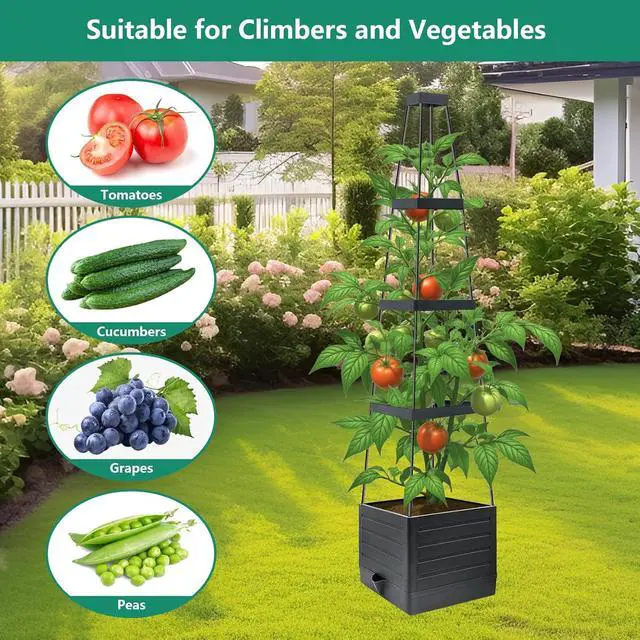Alt view image 6 of 7 - 2 Pack Raised Garden Bed Planter Box with Trellis, 58Tomato Planter with Trellis for Climbing Plants Vegetables Vine Flowers, Self-Watering Tomato Cage for Garden Patio Outdoor & Indoor