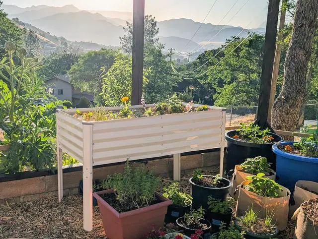 Alt view image 5 of 6 - Galvanized Raised Garden Beds Outdoor with Legs // 48×24×31in Elevated Planter Box for Vegetables, Flowers (White) // Large Metal Garden Bed for Backyard Patio Gardening