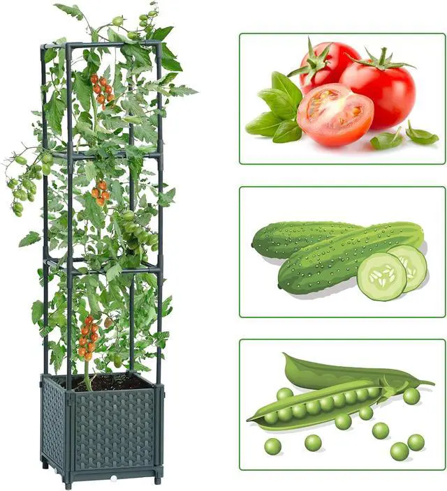 Alt view image 2 of 6 - LINEX Raised Garden Bed Planter Box with Trellis, 41.3 Tomato Planters for Climbing Plants Vegetable Vine Flowers Outdoor Patio, Tomatoes Cage w/Self-Watering