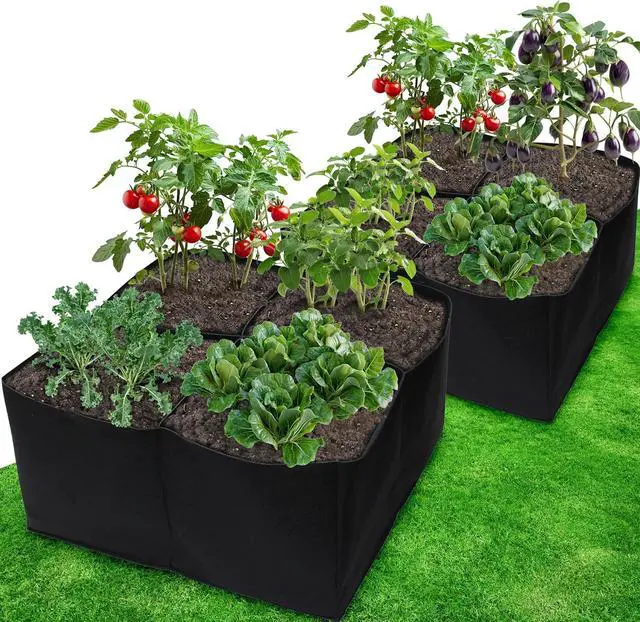 Main image of Gardzen 2 Pack Fabric Raised Garden Beds, 2x2x1 FT  4 Grids Grow Bed for Square Foot Gardening, Planting Box for Vegetables, Herbs, Flowers
