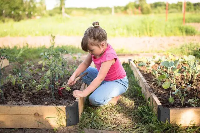 Alt view image 5 of 6 - Raised Garden Bed Corner Brackets with Securing Lip | Fits Lumber up to 2 Inch x 12 Inch in Size | Set of 4 | DIY Flower or Vegetable Garden | Black