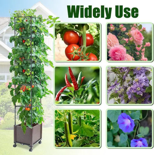 Alt view image 5 of 7 - Raised Garden Bed Planter Box with Trellis, 62.2" Self-Watering Tomato Planters for Climbing Plants Vine Flowers Outdoor Patio, Tomatoes Cage with Trellis Wheels for Outdoor, 1Pack
