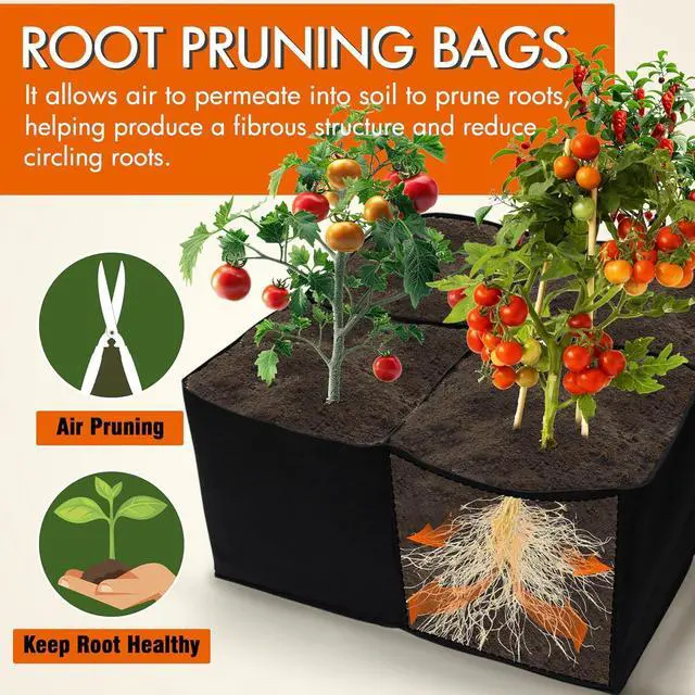 Alt view image 4 of 7 - Gardzen 2 Pack Fabric Raised Garden Beds, 2x2x1 FT  4 Grids Grow Bed for Square Foot Gardening, Planting Box for Vegetables, Herbs, Flowers