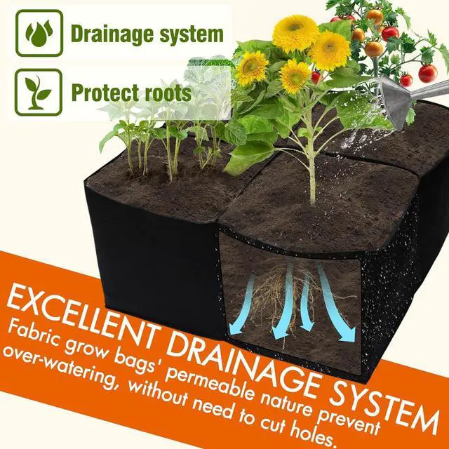 Alt view image 5 of 7 - Gardzen 2 Pack Fabric Raised Garden Beds, 2x2x1 FT  4 Grids Grow Bed for Square Foot Gardening, Planting Box for Vegetables, Herbs, Flowers