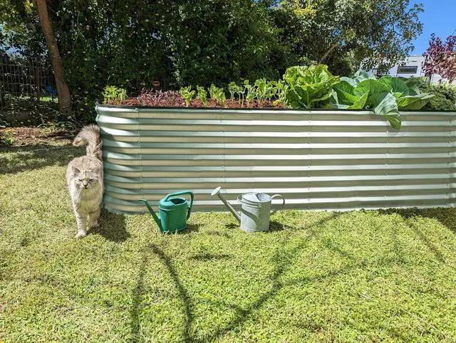 Alt view image 6 of 7 - Galvanized Raised Garden Beds Outdoor // 8×2×2 ft Planter Raised Beds for Gardening, Vegetables, Flowers // Large Metal Garden Box (Silver) // Patented Tool-Free Design