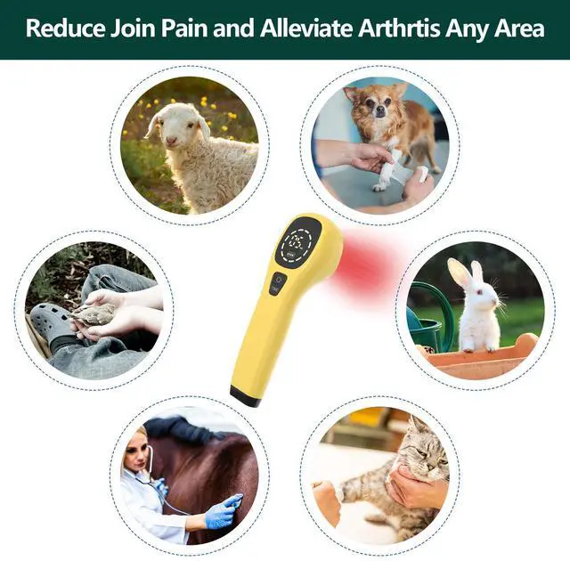 Alt view image 4 of 7 - PUPCA Pet/Vet Therapy Device,Cold Laser Therapy Relieve Animal's Muscle Joint Pain,Portable Handheld Red Light Therapy Device,with 650nm and 808nm Wavelength,for Horses,Dogs,Cats and Others (Gold)