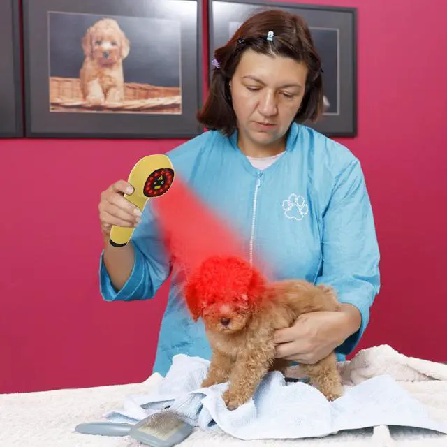 Alt view image 5 of 7 - PUPCA Pet/Vet Therapy Device,Cold Laser Therapy Relieve Animal's Muscle Joint Pain,Portable Handheld Red Light Therapy Device,with 650nm and 808nm Wavelength,for Horses,Dogs,Cats and Others (Gold)