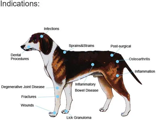 Alt view image 7 of 7 - PUPCA Pet/Vet Therapy Device,Cold Laser Therapy Relieve Animal's Muscle Joint Pain,Portable Handheld Red Light Therapy Device,with 650nm and 808nm Wavelength,for Horses,Dogs,Cats and Others (Gold)