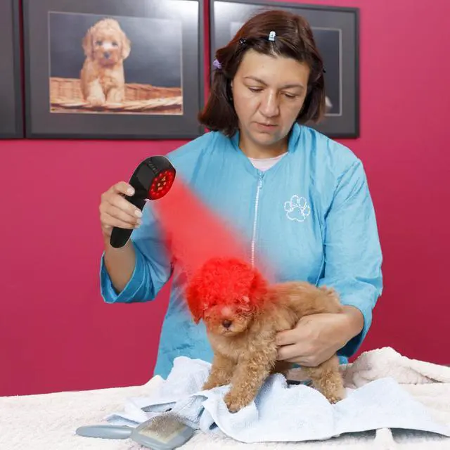 Alt view image 4 of 5 - PUPCA Pet/Vet Therapy Device,Cold Laser Therapy Relieve Animal's Muscle Joint Pain,Portable Handheld Red Light Therapy Device,with 650nm and 808nm Wavelength,for Horses,Dogs,Cats and Others (Black)