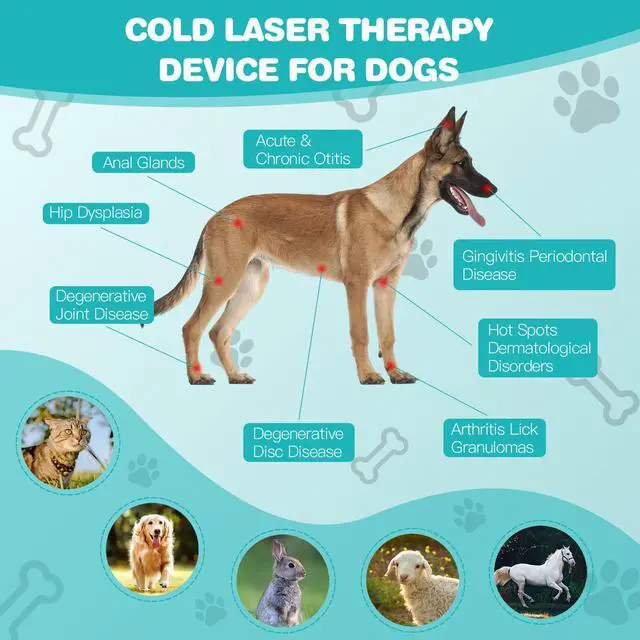 Alt view image 6 of 7 - PUPCA Laser Therapy Device for Dogs,Portable Red Light Therapy with 18*620nm for Pet Muscle,Hip&Joint Arthritis Pain Relief,Body Care,Reduce Inflammation,Promote Blood Circulation,Accelerate Healing