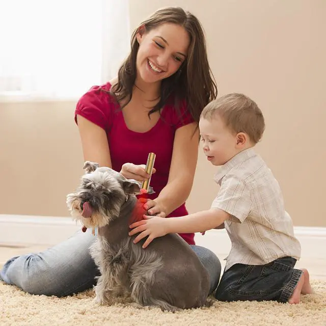 Alt view image 6 of 7 - PUPCA Pet/Vet Therapy Torch Device,Cold Laser Therapy Relieves Muscle Joint Pain Animals,Portable Red Light Therapy with 650&808nm Wavelength,for Dog,Cats,Horses & Others